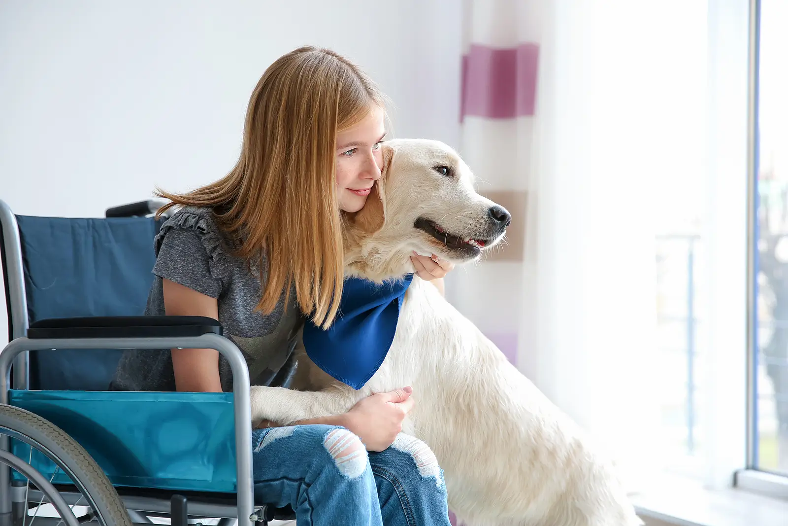 Service Animal Laws for Denver Landlords: Emotional Support vs. Pets